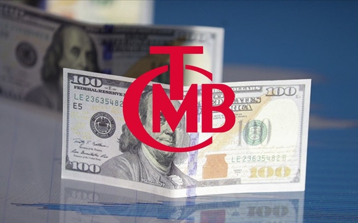 Reel efektif d&ouml;viz kuru endeksi Ocak'ta 102,17 oldu