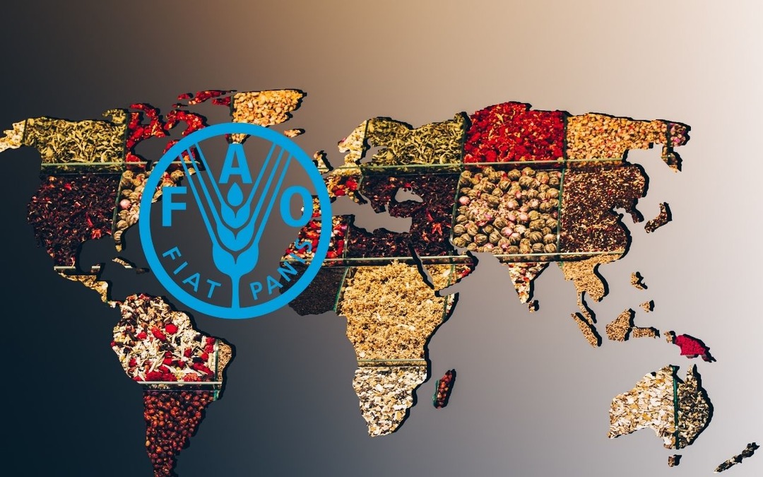 FAO raporuna g&ouml;re k&uuml;resel gıda fiyatları 5 aydır d&uuml;ş&uuml;yor