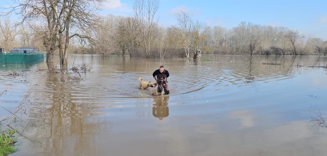 Meri&ccedil;, yatağından taştı: DSİ 'turuncu alarm' verdi!