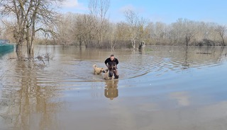 Meri&ccedil;, yatağından taştı: DSİ 'turuncu alarm' verdi!