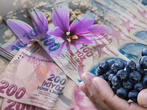 Buğdayı unutun, servet kapıda! 2026&rsquo;nın en &ccedil;ok kazandıran 5 gizli bitkisi