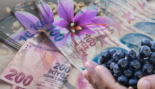 Buğdayı unutun, servet kapıda! 2026&rsquo;nın en &ccedil;ok kazandıran 5 gizli bitkisi