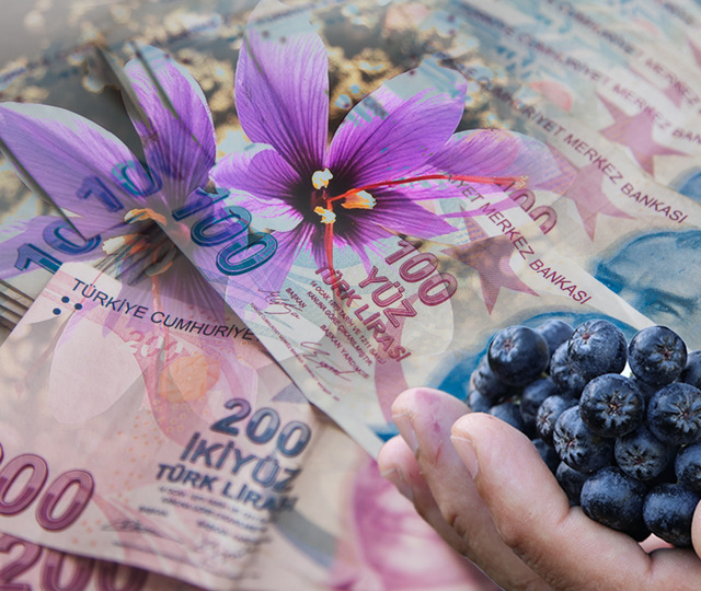 Buğdayı unutun, servet kapıda! 2026&rsquo;nın en &ccedil;ok kazandıran 5 gizli bitkisi