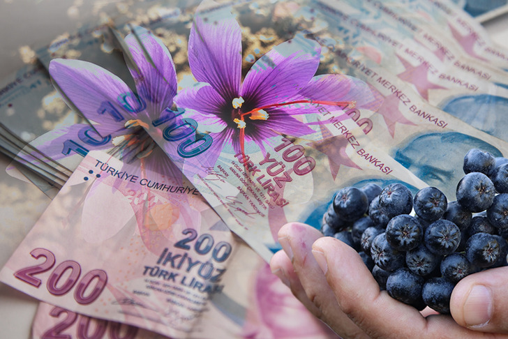 Buğdayı unutun, servet kapıda! 2026&rsquo;nın en &ccedil;ok kazandıran 5 gizli bitkisi