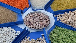 Ocakta hububat, bakliyat, yağlı tohumlar ihracatında artış