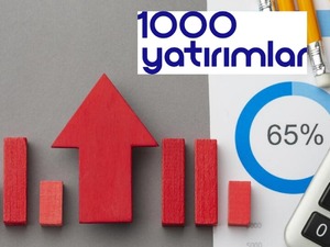 Hisseleri tavan olmuştu: BINHO&rsquo;dan satın alma iddialarına yanıt geldi