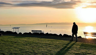 T&uuml;rkiye'de yalnız yaşayanların sayısı ge&ccedil;en yıl 5,5 milyonu aştı