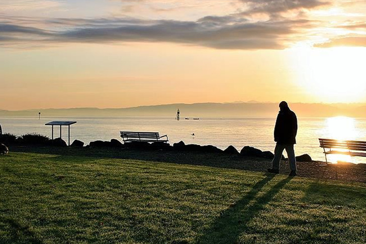 T&uuml;rkiye'de yalnız yaşayanların sayısı ge&ccedil;en yıl 5,5 milyonu aştı