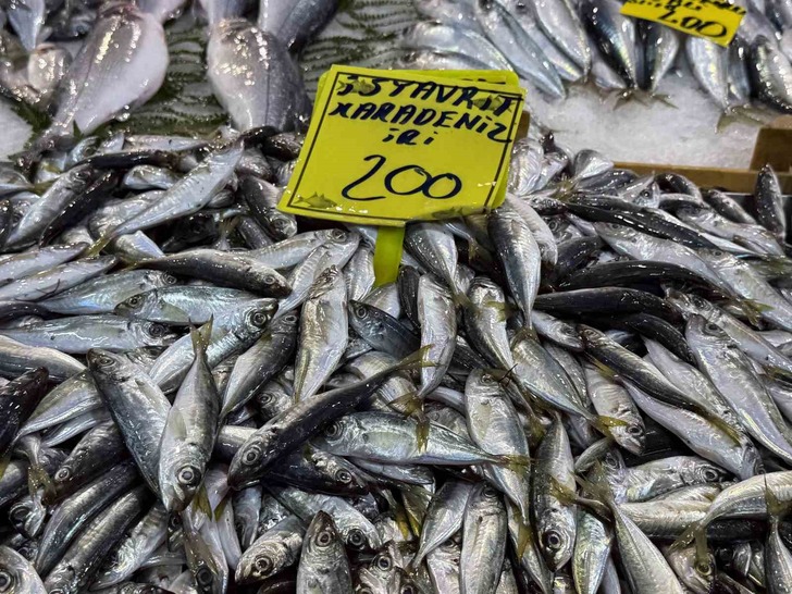 Balık tezgahlarındaki son durum