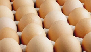 Kişi başına d&uuml;şen yumurta &uuml;retiminde d&uuml;ş&uuml;ş yaşanıyor