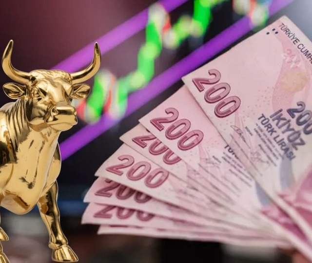 NETCD, AKHAN, UCAYM...Halka arzlar bir haftada ne kadar kazandırdı?