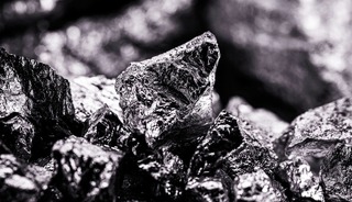 Altından 400 kat daha değerli! Elinde bulunan turnayı gözünden vurdu: Bir gramı daire aldırıyor