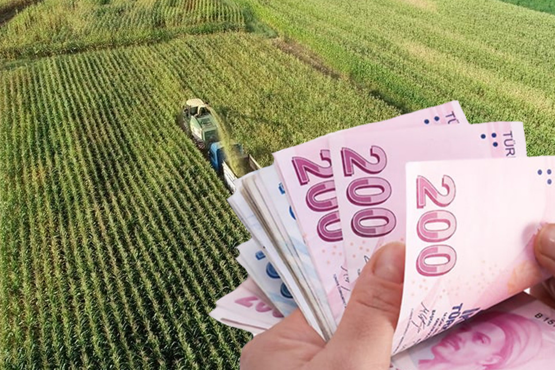 Hazine destekli kredilerde kritik değişiklik! Y&uuml;zde 25 kesinti, 300 bin TL &uuml;st sınır