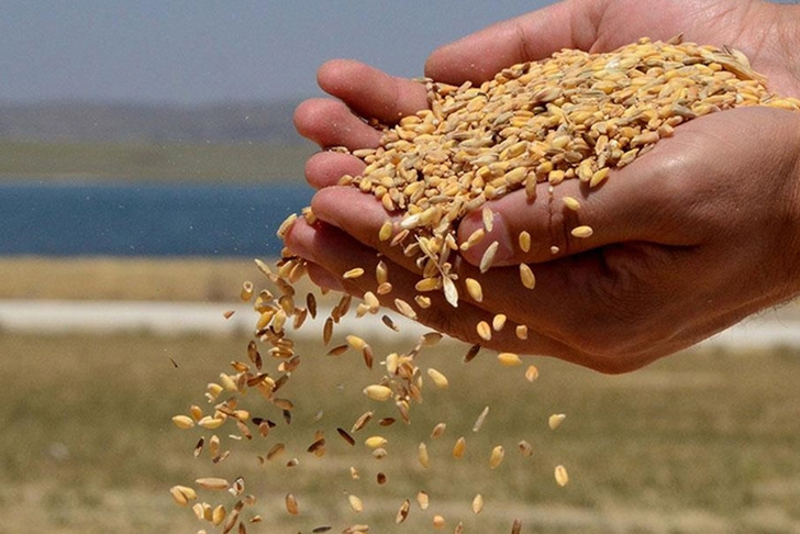 TMO lisanslı depolardaki buğdayı g&uuml;nl&uuml;k satışa a&ccedil;ıyor