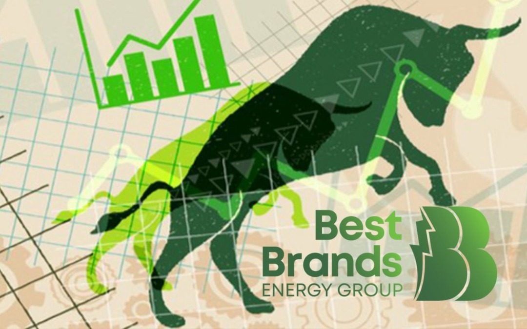 BESTE halka arzında "tavan" geleneği s&uuml;r&uuml;yor: Alım sırasında kimler var?