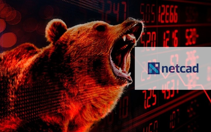 Netcad Yazılım (NETCD) tavan serisini 9. g&uuml;nde sonlandırdı: Tahtada kimler var?