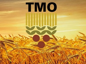 TMO, kuruma ait ekmeklik ve makarnalık buğdayı g&uuml;nl&uuml;k satışa a&ccedil;tı