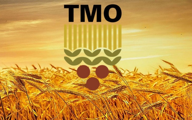 TMO, kuruma ait ekmeklik ve makarnalık buğdayı g&uuml;nl&uuml;k satışa a&ccedil;tı