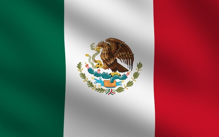 T&uuml;rkiye'nin Meksika B&uuml;y&uuml;kel&ccedil;iliğinden &uuml;lkedeki olaylara y&ouml;nelik a&ccedil;ıklama