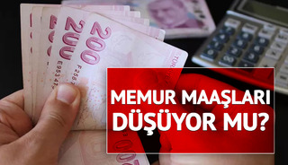 IMF&rsquo;den T&uuml;rkiye&rsquo;ye maaş &ouml;nerisi: O d&ouml;nem bitsin! 