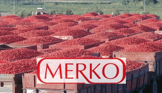 Merko Bedelli mi Yapacak Bedelsiz mi? Sermaye Tavanı Artırıldı