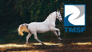 TMSF at satışına başladı