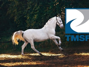 TMSF at satışına başladı