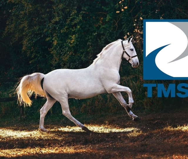 TMSF at satışına başladı