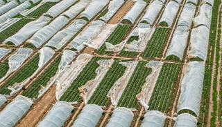 Antalya'da fırtına, hortum ve selin faturası 3 milyar TL