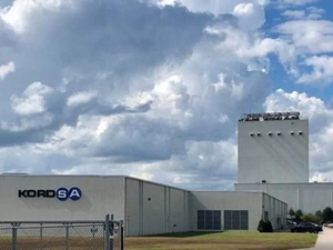 KORDS Bedelli mi Yapacak Yoksa Bedelsiz mi? Kayıtlı Sermaye Tavanı Artıyor