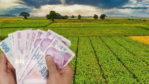 Tarım arazisi olanlara devlet hibe verecek! Destekleme kararı resmen duyuruldu