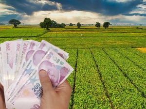 Tarım arazisi olanlara devlet hibe verecek! Destekleme kararı resmen duyuruldu