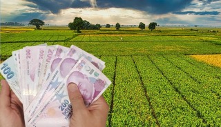 Tarım arazisi olanlara devlet hibe verecek! Destekleme kararı resmen duyuruldu