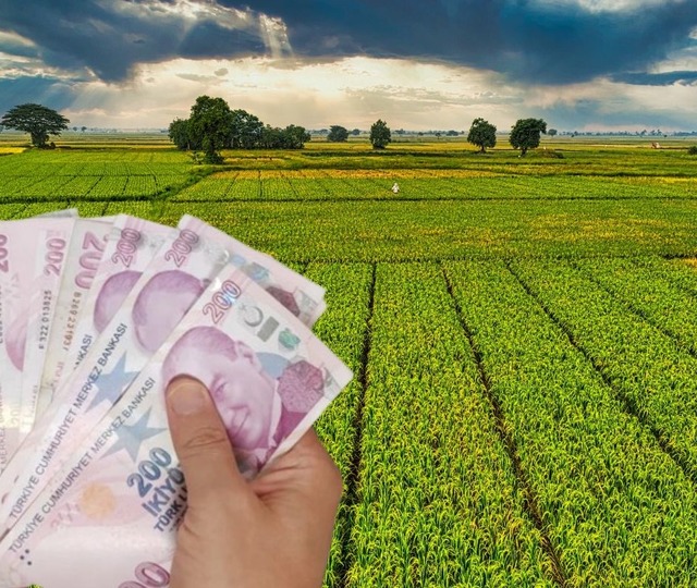 Tarım arazisi olanlara devlet hibe verecek! Destekleme kararı resmen duyuruldu