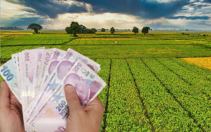 Tarım arazisi olanlara devlet hibe verecek! Destekleme kararı resmen duyuruldu