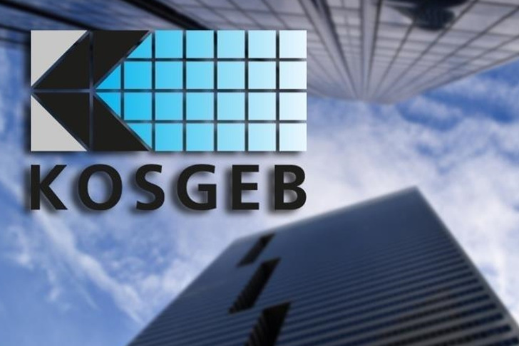 KOSGEB, ge&ccedil;en yıl 9 bin 210 kadının işletme kurmasını destekledi