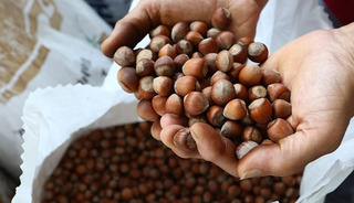 2 ayda ihracatının geliri 388 milyon doları aştı