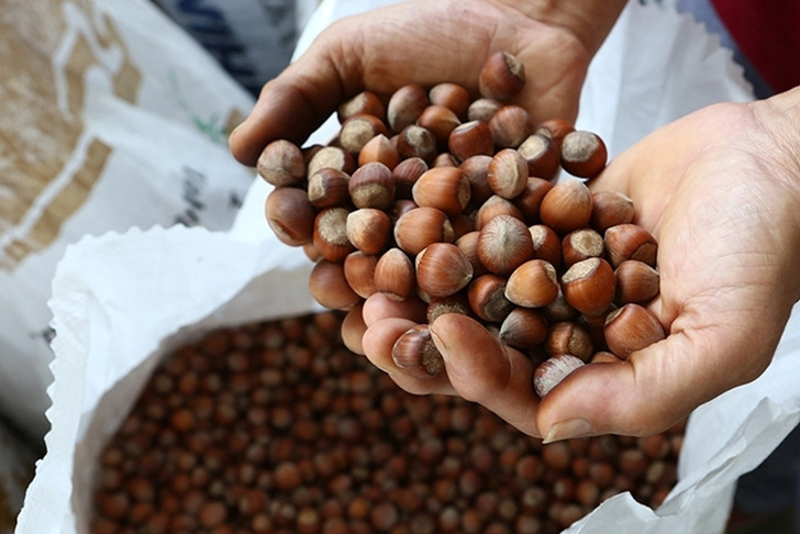 2 ayda ihracatının geliri 388 milyon doları aştı