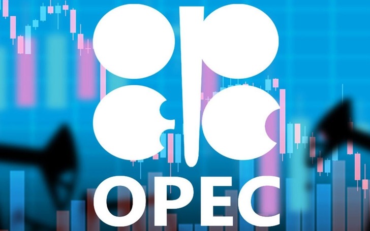 OPEC'in g&uuml;nl&uuml;k ham petrol &uuml;retimi Şubat'ta 164 bin varil arttı