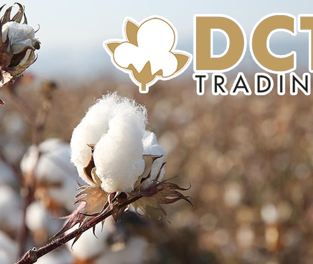 DCT Trading'den bağlı ortaklığına 1,5 milyon euroluk dev yatırım