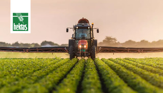 HEKTS Hisse Yorum: Hissede Son Durum Ne? 3,19 Seviyesi Kritik