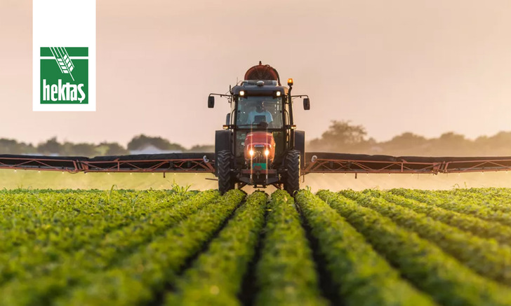 HEKTS Hisse Yorum: Hissede Son Durum Ne? 3,19 Seviyesi Kritik