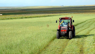 T&uuml;rkiye genelindeki tarım sayımında sona yaklaşıldı