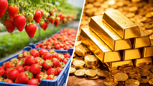 1 milyon TL&rsquo;niz var: Altın mı alırsınız, &Ccedil;ilek serası mı kurarsınız? İşte yanıtı