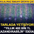 1 milyon TL&rsquo;niz var: Altın mı alırsınız, &Ccedil;ilek serası mı kurarsınız? İşte yanıtı