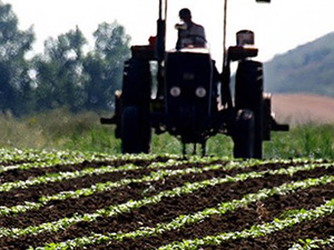 Tarım-&Uuml;FE yıllık y&uuml;zde 40,10 arttı