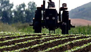 Tarım-ÜFE yıllık yüzde 40,10 arttı