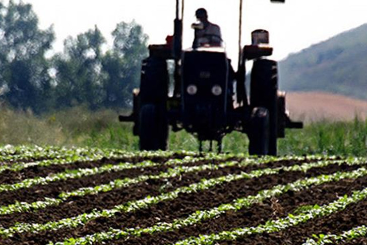 Tarım-&Uuml;FE yıllık y&uuml;zde 40,10 arttı