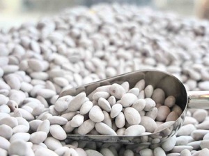 &lsquo;Beyaz altın&rsquo; raflara &ccedil;ıktı