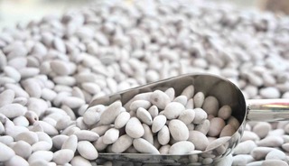 &lsquo;Beyaz altın&rsquo; raflara &ccedil;ıktı